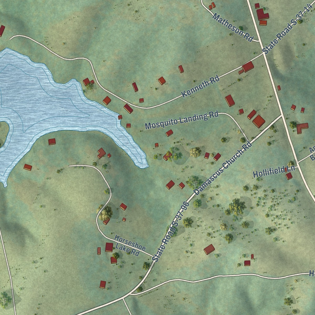 Close-up of the map of Longcreek, South Carolina print showing street and building detail
