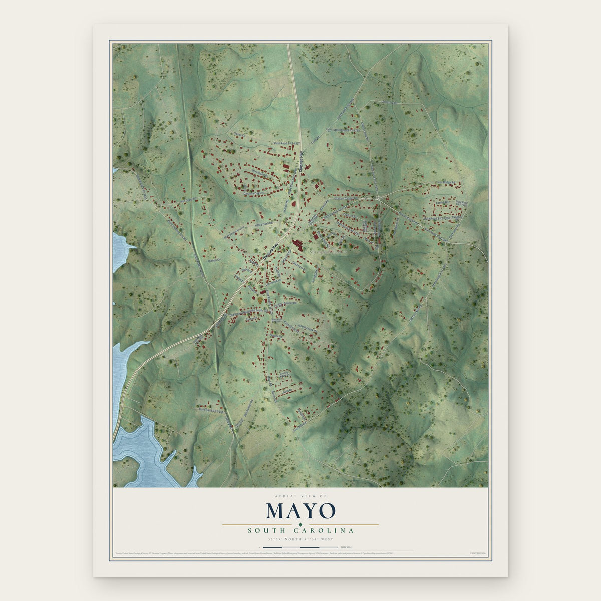 Mayo, South Carolina map print, the full design