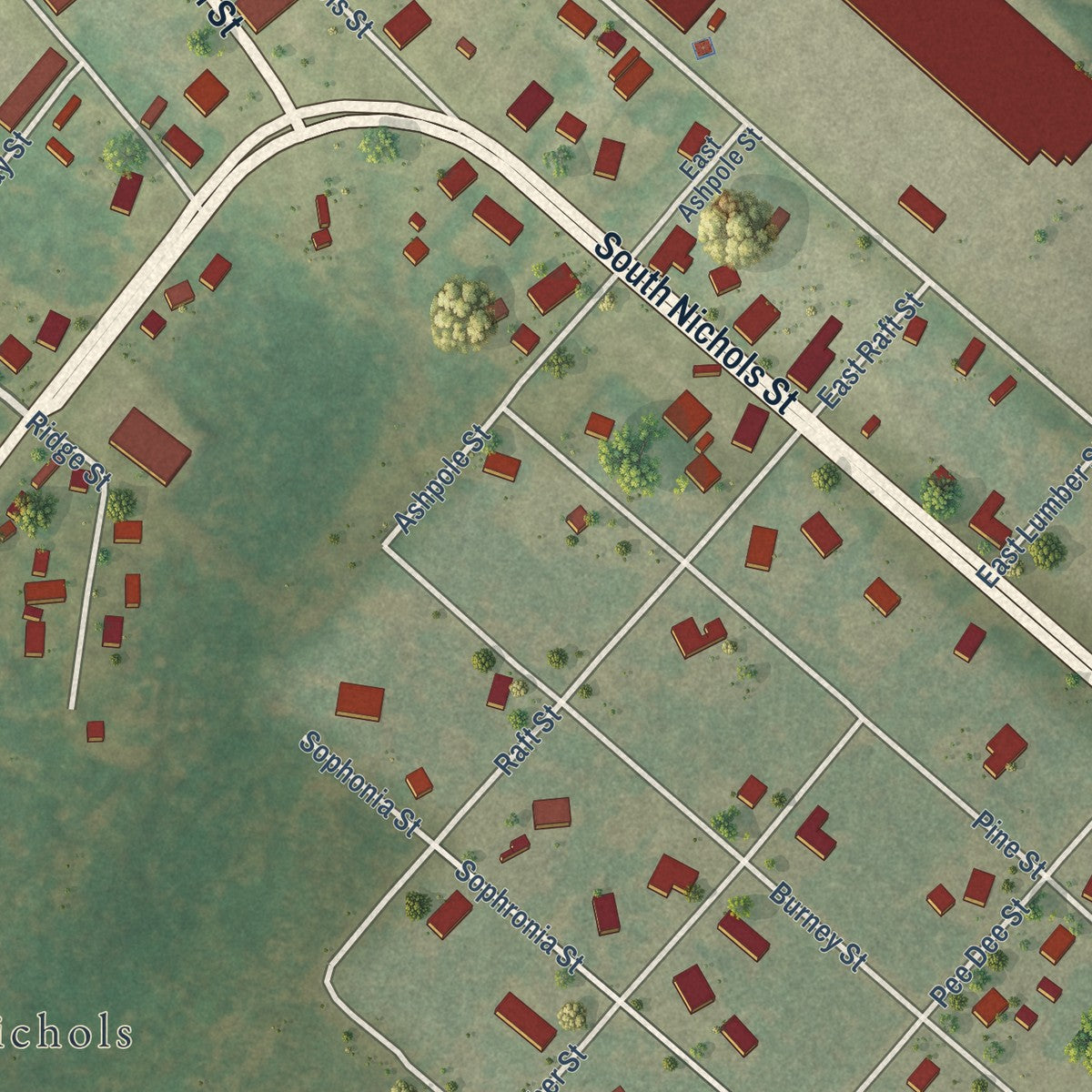 Close-up of the map of Nichols, South Carolina print showing street and building detail
