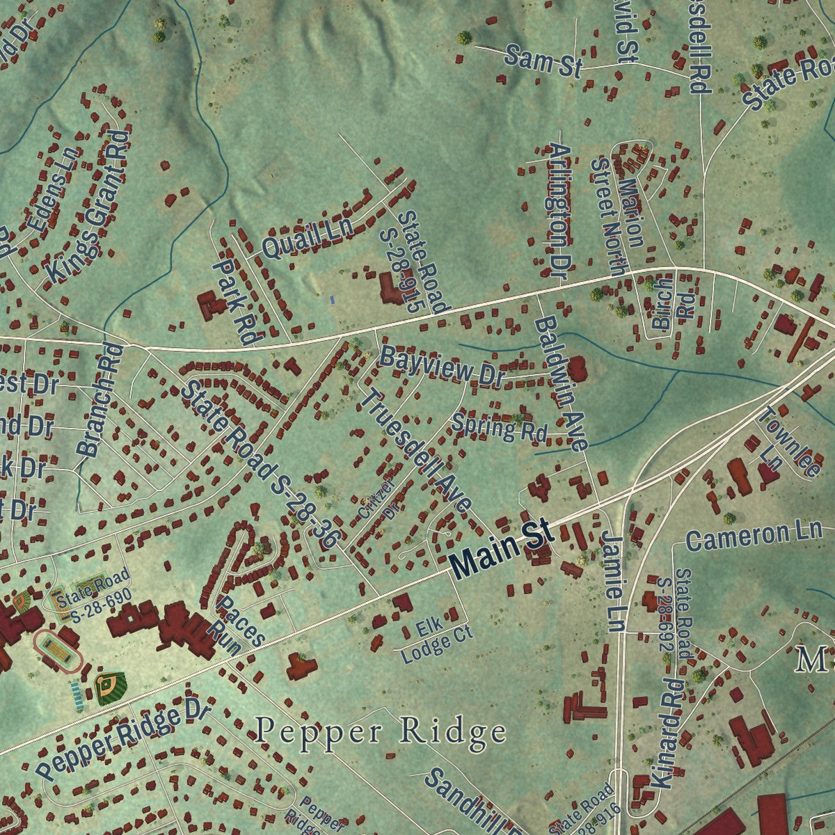 Close-up of the map of Lugoff, South Carolina print showing street and building detail