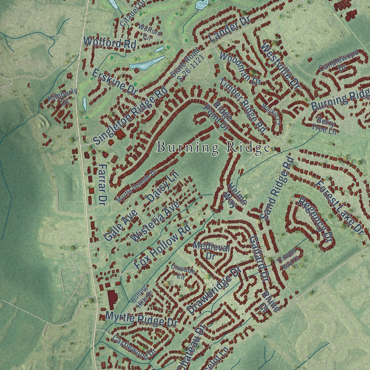 Close-up of the map of Red Hill, South Carolina print showing street and building detail