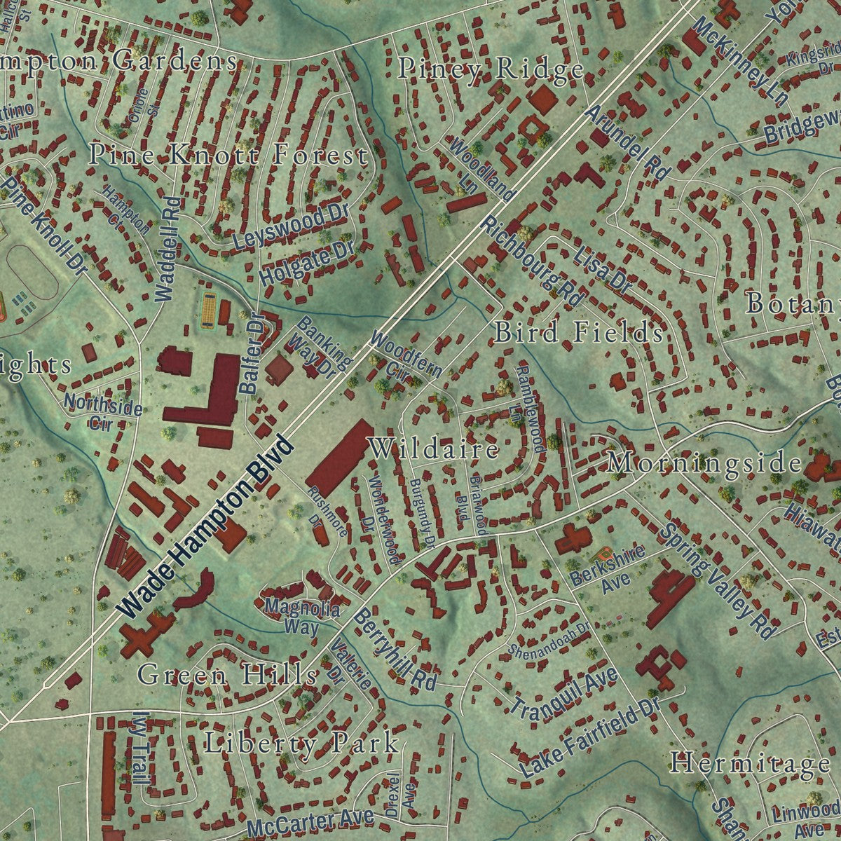 Close-up of the map of Wade Hampton, South Carolina print showing street and building detail
