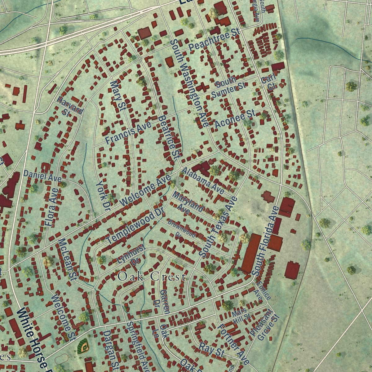 Close-up of the map of Welcome, South Carolina print showing street and building detail