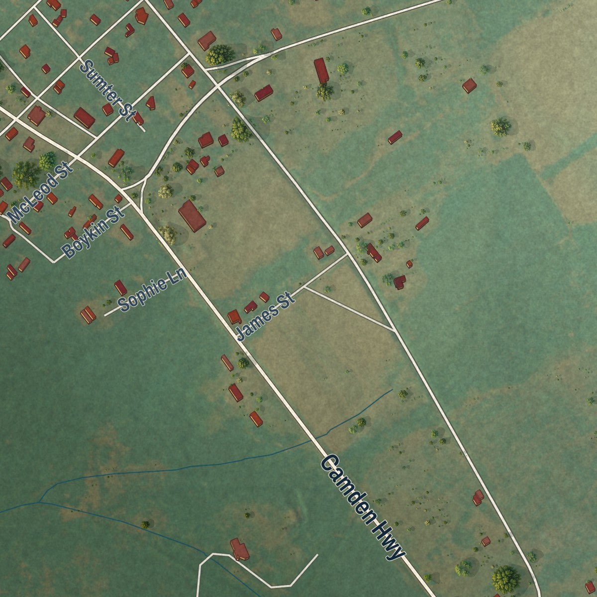 Close-up of the map of Rembert, South Carolina print showing street and building detail