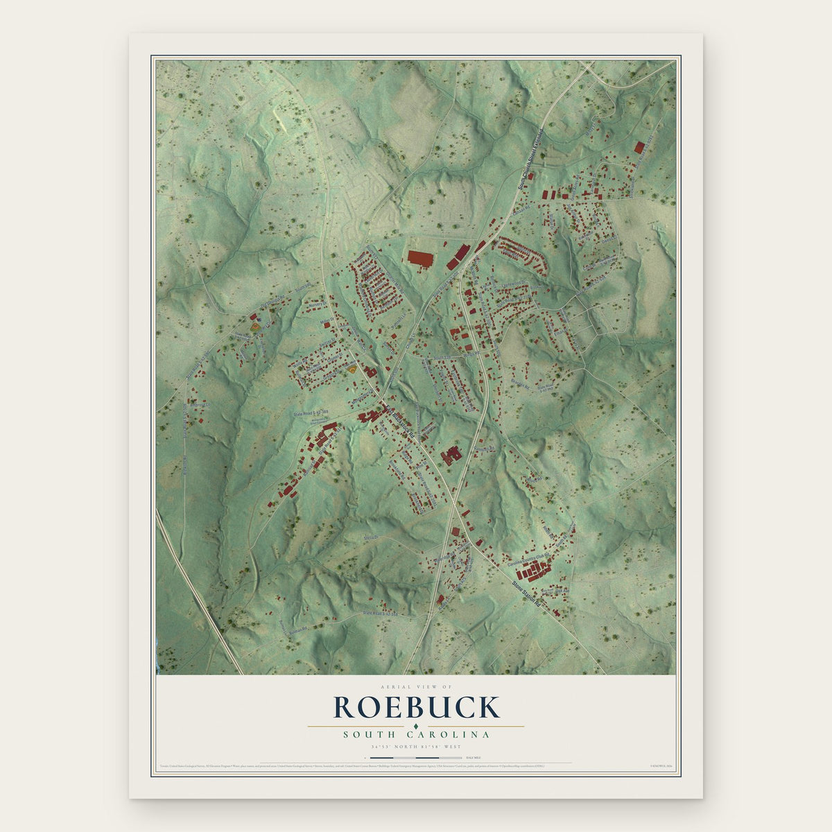 Roebuck, South Carolina map print, the full design