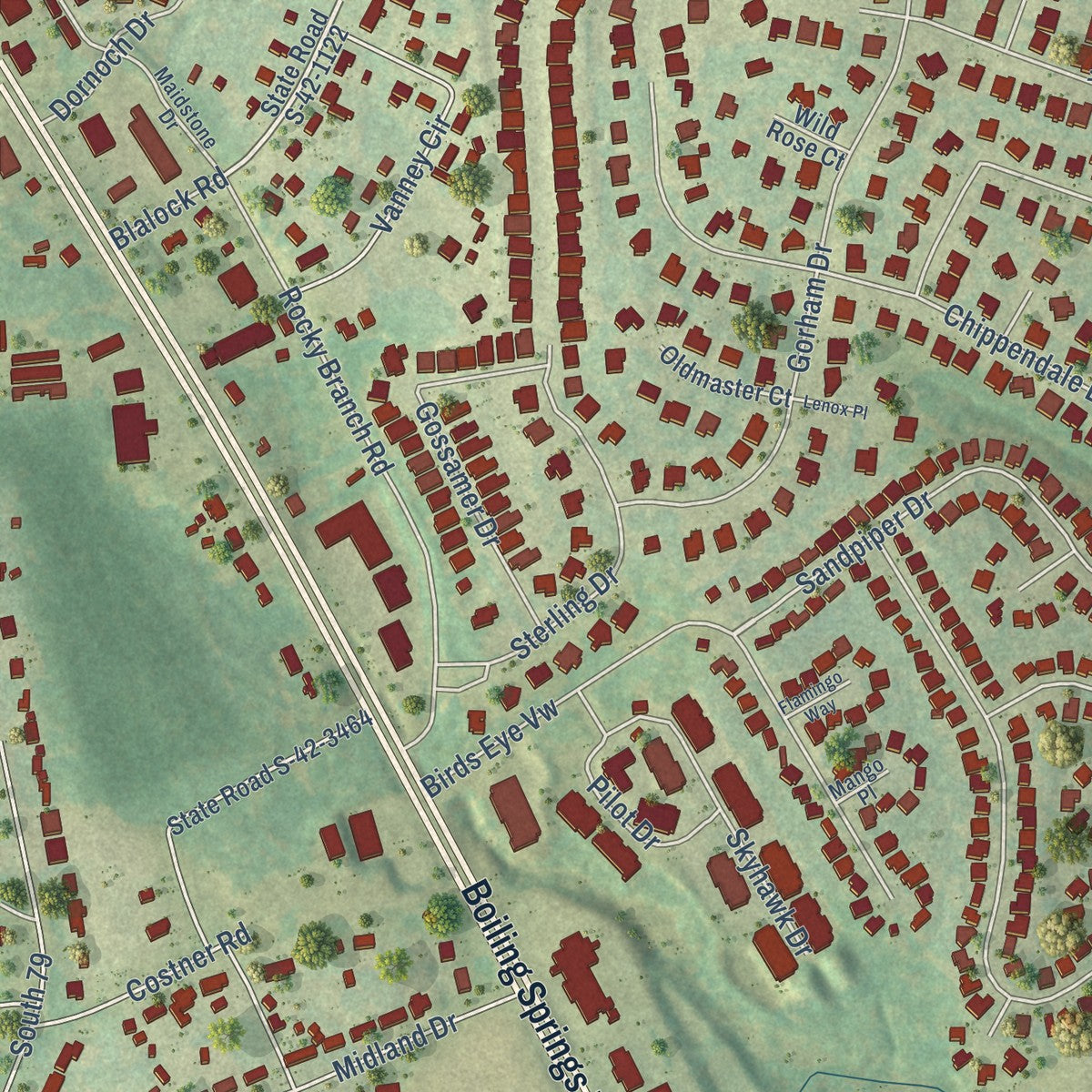 Close-up of the map of Shoally Creek, South Carolina print showing street and building detail