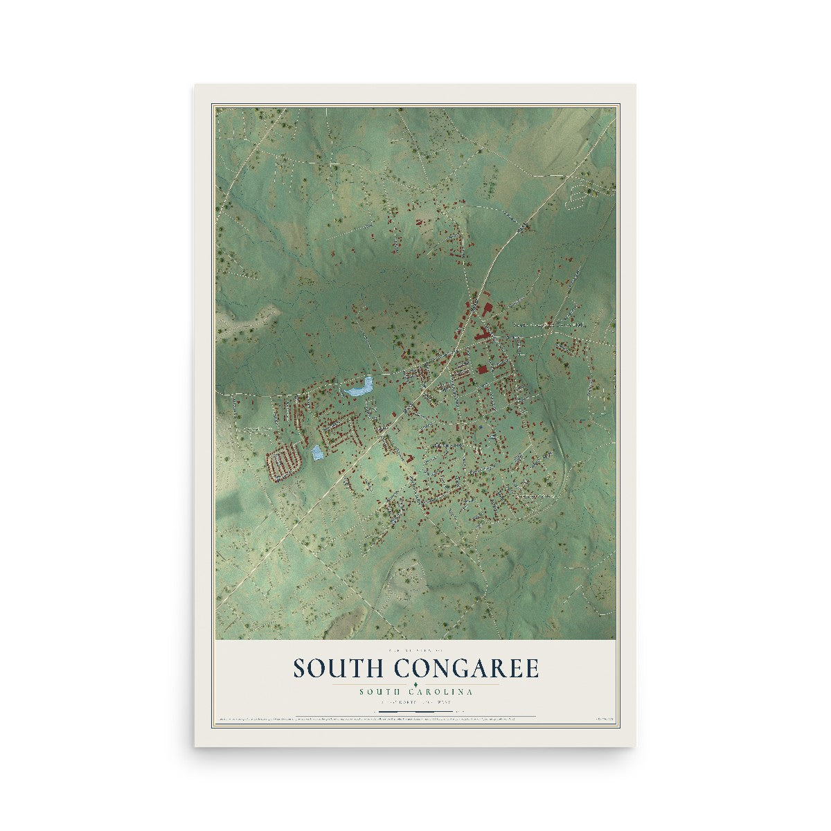 Map of South Congaree, South Carolina, 12 x 18 inch unframed archival matte print