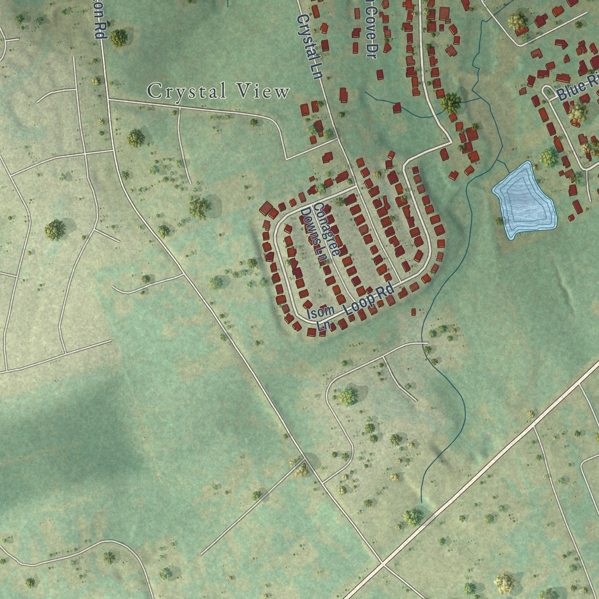 Second close-up of the map of South Congaree, South Carolina print showing more streets and buildings