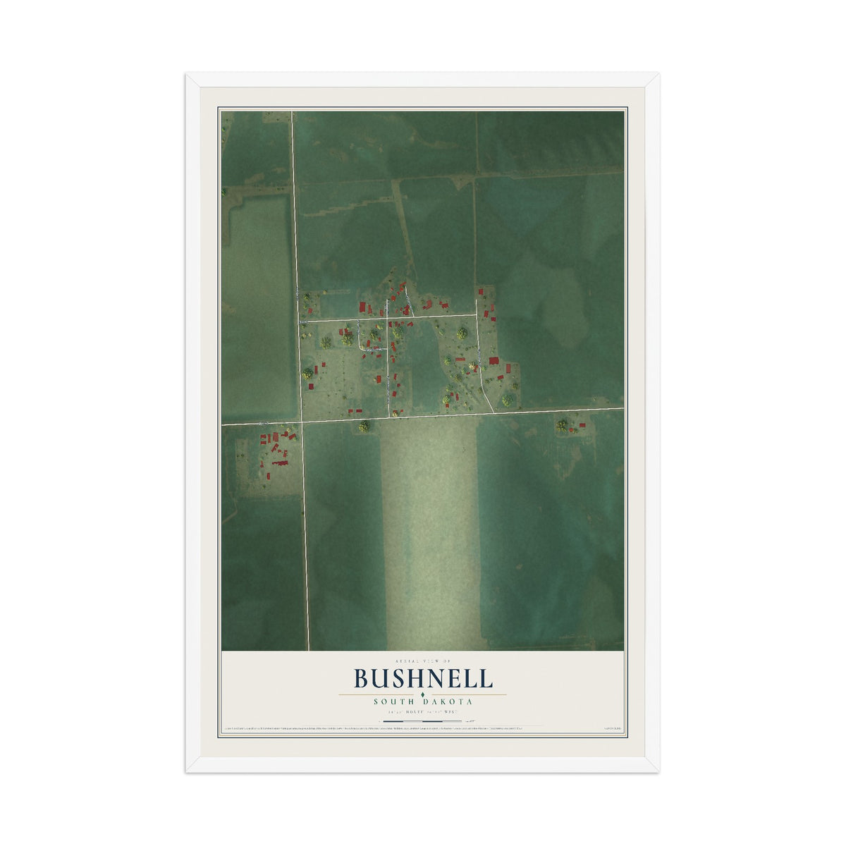 Map of Bushnell, South Dakota, 12 x 18 inch print in a white wood frame