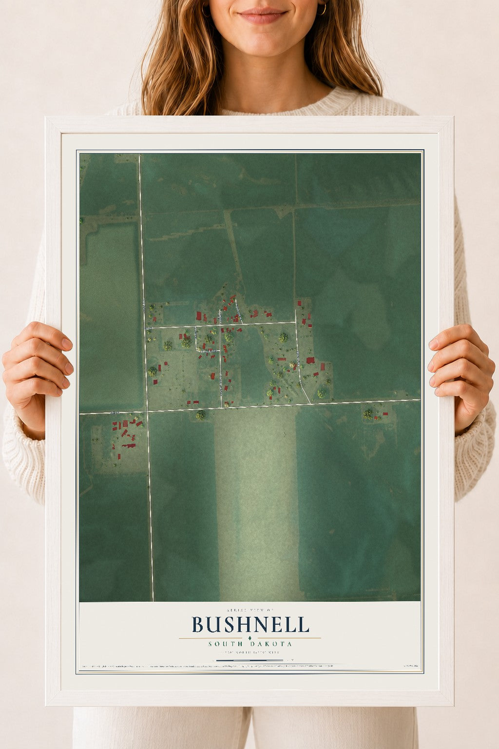 Map of Bushnell, South Dakota, 18 x 24 inch print in a white wood frame