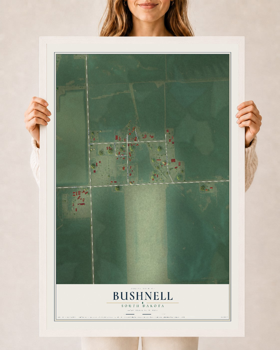 Map of Bushnell, South Dakota, 24 x 36 inch print in a white wood frame
