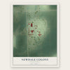 Newdale Colony, South Dakota map print, the full design