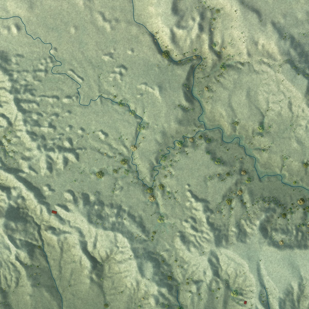 Close-up of the map of Red Shirt, South Dakota print showing street and building detail