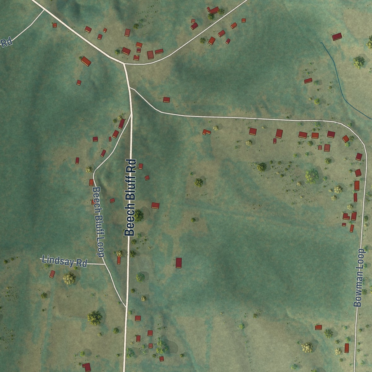 Close-up of the map of Beech Bluff, Tennessee print showing street and building detail