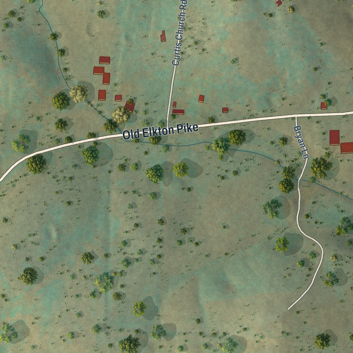 Close-up of the map of Dellrose, Tennessee print showing street and building detail