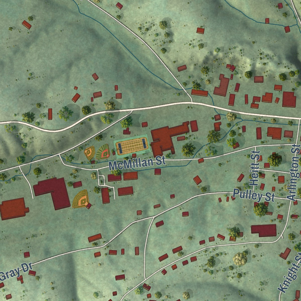 Close-up of the map of Erin, Tennessee print showing street and building detail
