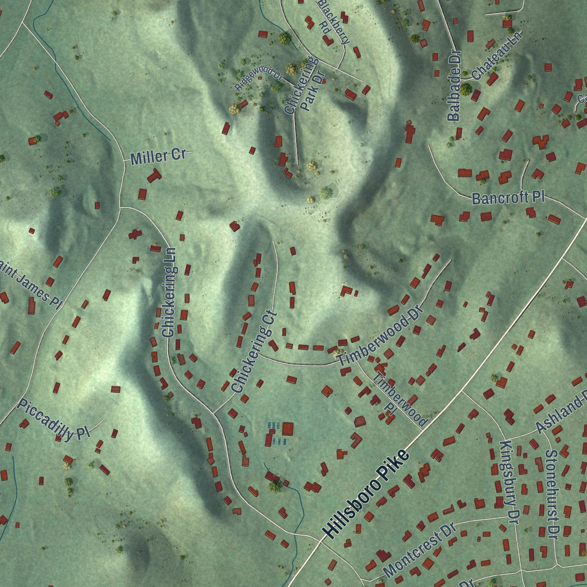 Second close-up of the map of Forest Hills, Tennessee print showing more streets and buildings