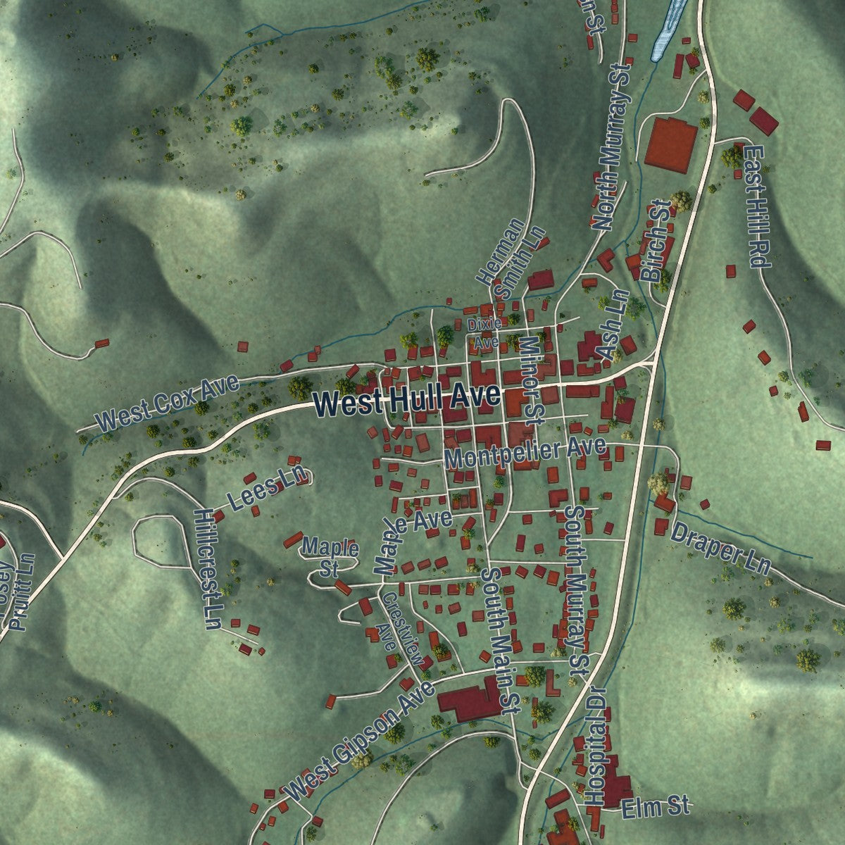 Second close-up of the map of Gainesboro, Tennessee print showing more streets and buildings