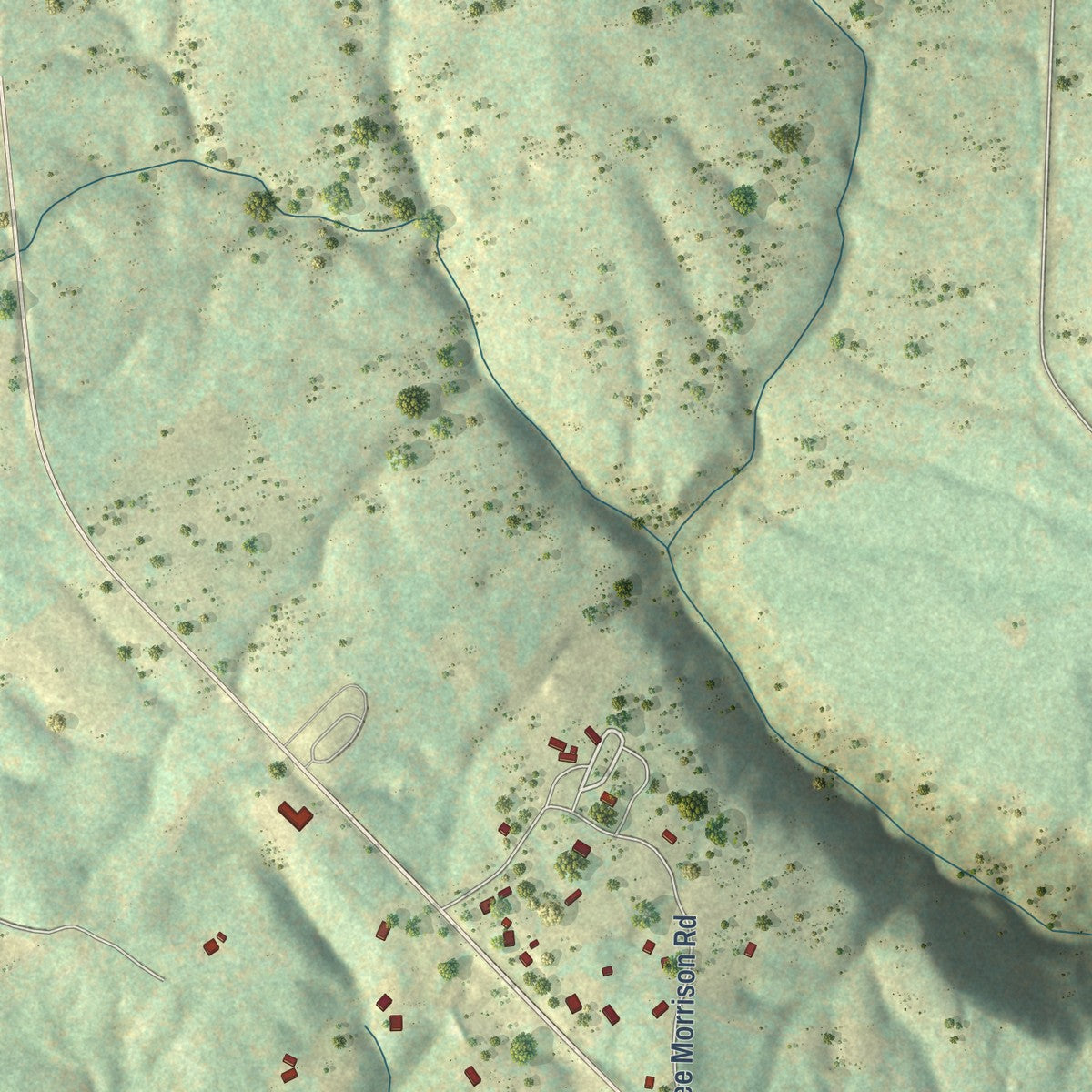 Close-up of the map of Griffith Creek, Tennessee print showing street and building detail