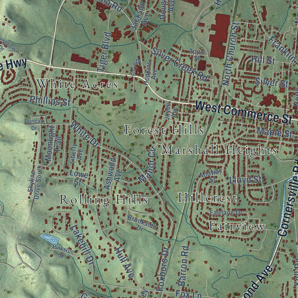 Close-up of the map of Lewisburg, Tennessee print showing street and building detail