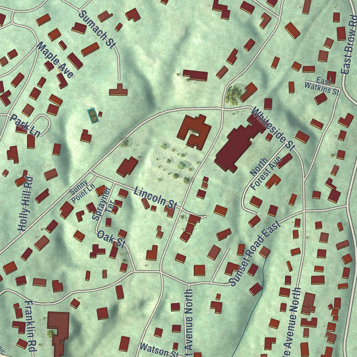 Close-up of the map of Lookout Mountain, Tennessee print showing street and building detail