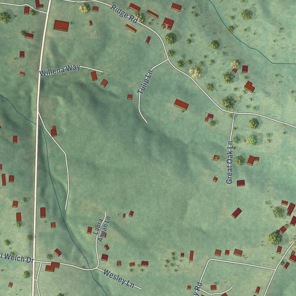 Close-up of the map of Nixon, Tennessee print showing street and building detail