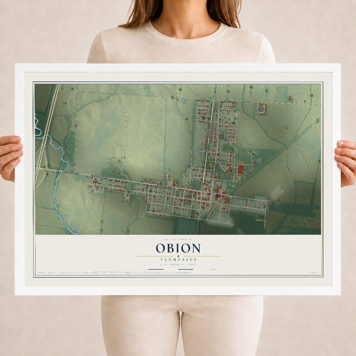 Map of Obion, Tennessee, 18 x 24 inch print in a white wood frame