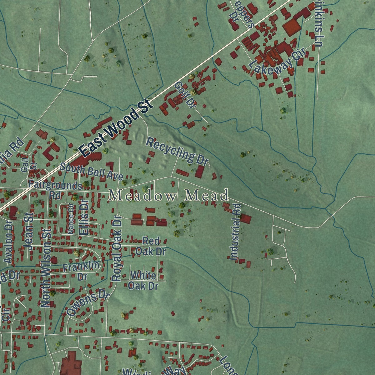 Second close-up of the map of Paris, Tennessee print showing more streets and buildings