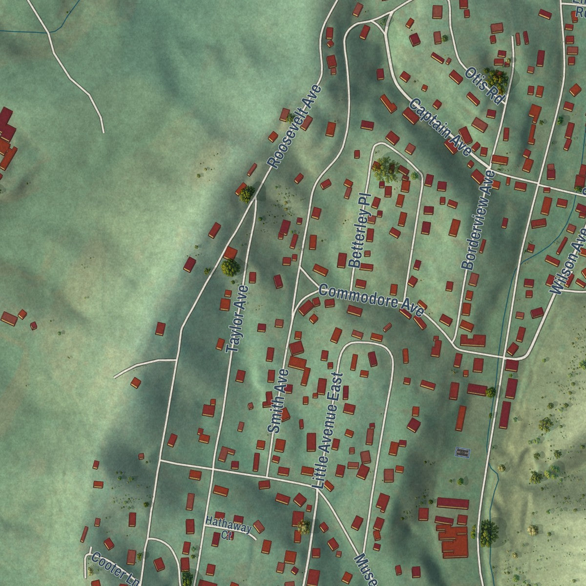 Close-up of the map of Biltmore, Tennessee print showing street and building detail