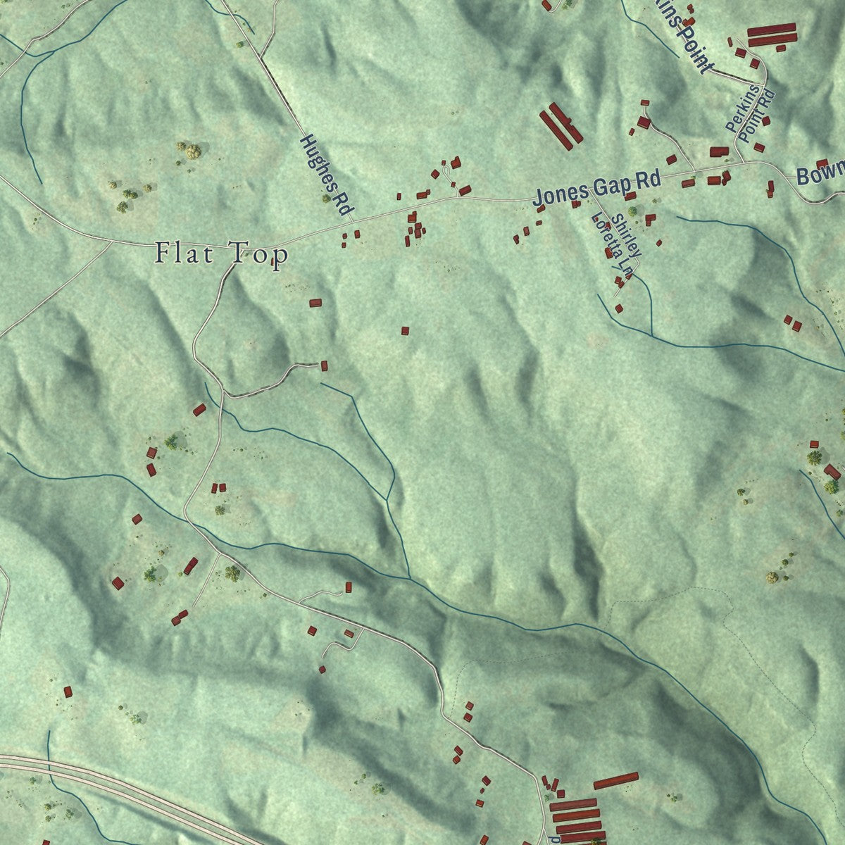 Close-up of the map of Flat Top Mountain, Tennessee print showing street and building detail