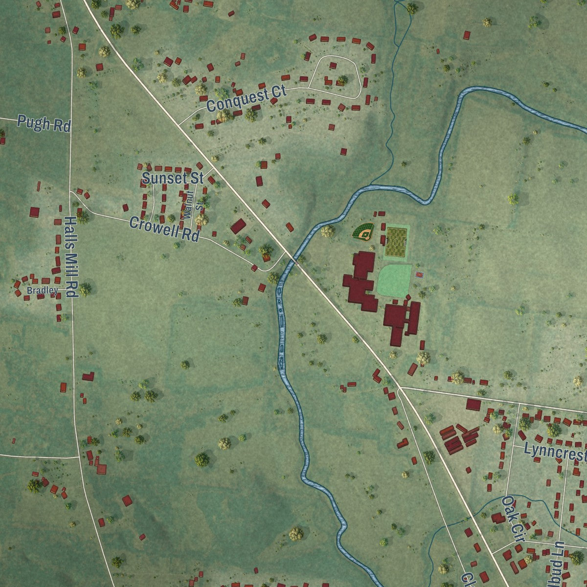 Close-up of the map of Unionville, Tennessee print showing street and building detail