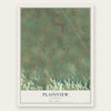 Plainview, Rutherford County, Tennessee map print, the full design