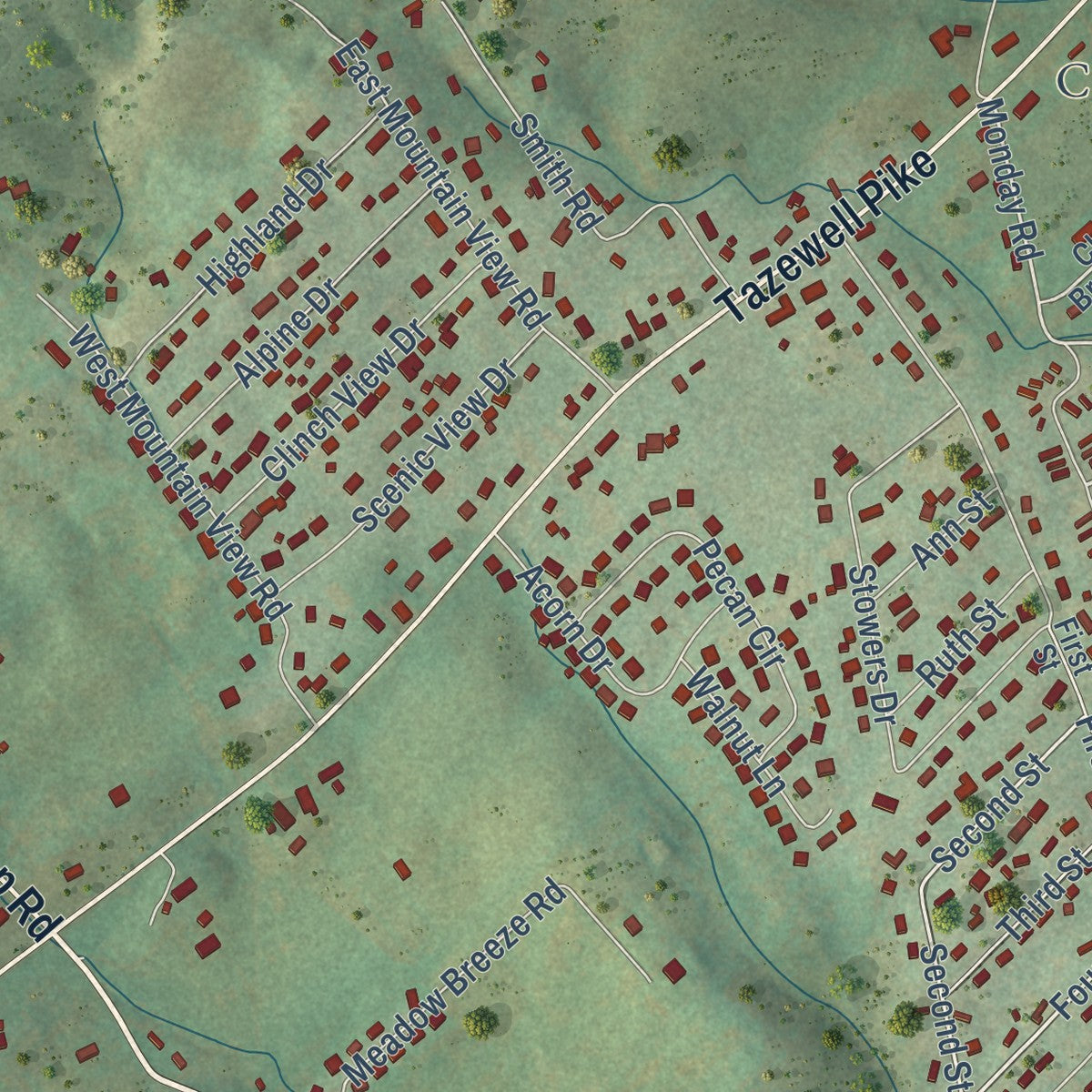 Close-up of the map of Plainview, Tennessee print showing street and building detail