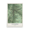 Map of Waynesboro, Tennessee, 12 x 18 inch unframed archival matte print
