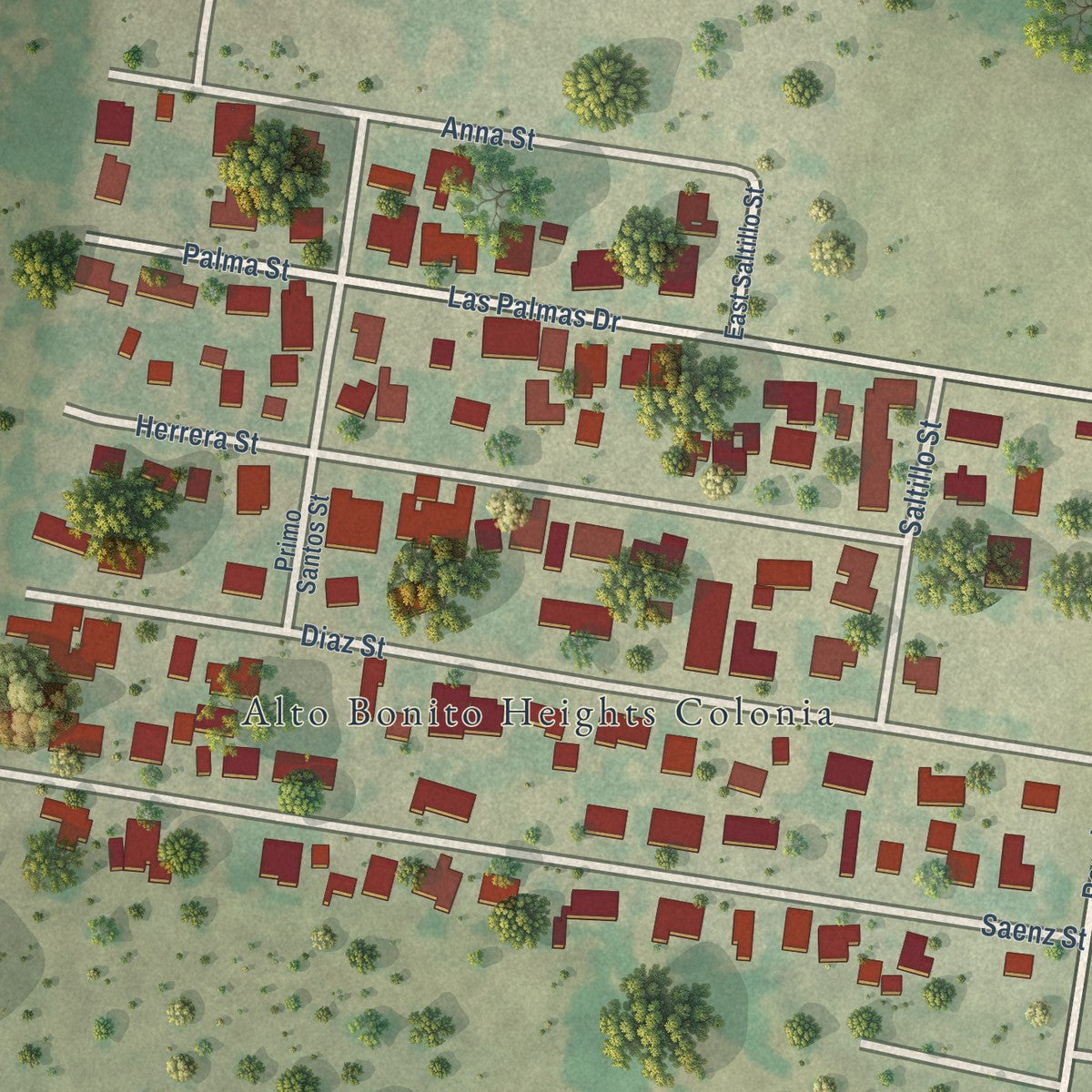 Close-up of the map of Alto Bonito Heights, Texas print showing street and building detail