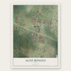 Alto Bonito, Texas map print, the full design