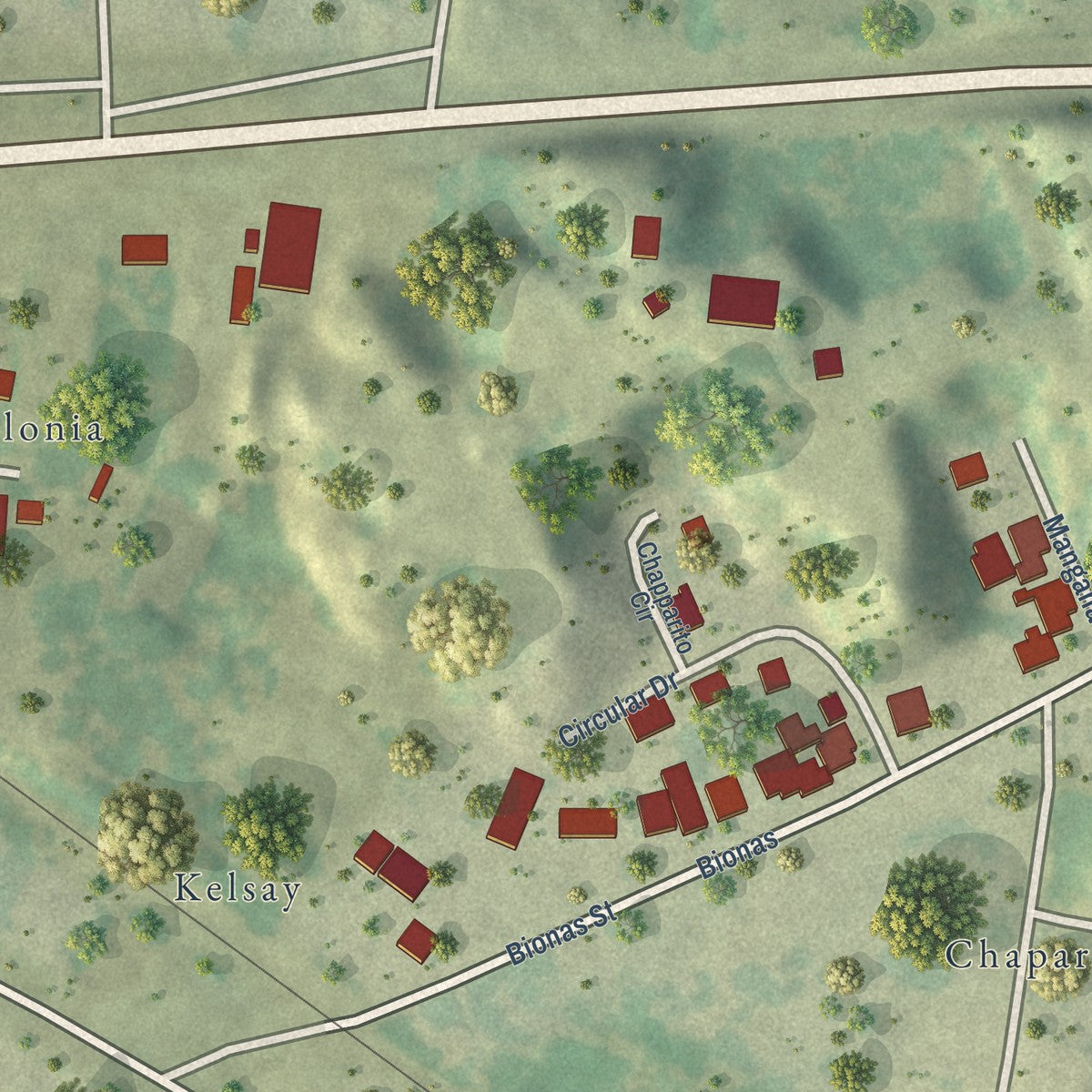 Close-up of the map of Amada Acres, Texas print showing street and building detail