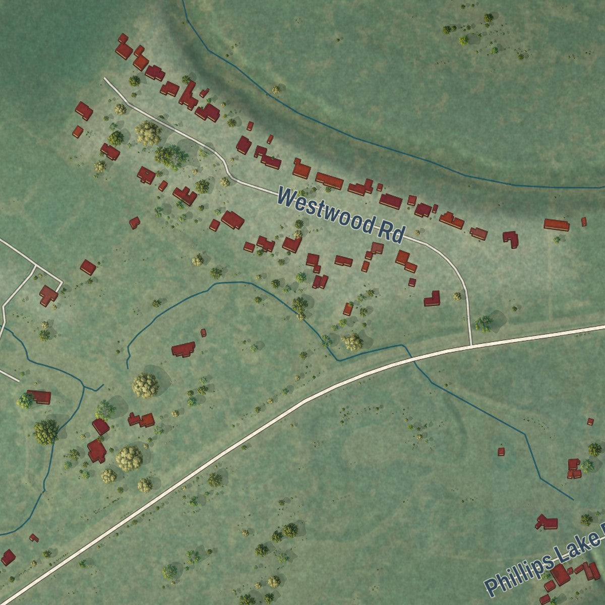 Second close-up of the map of Bailey's Prairie, Texas print showing more streets and buildings
