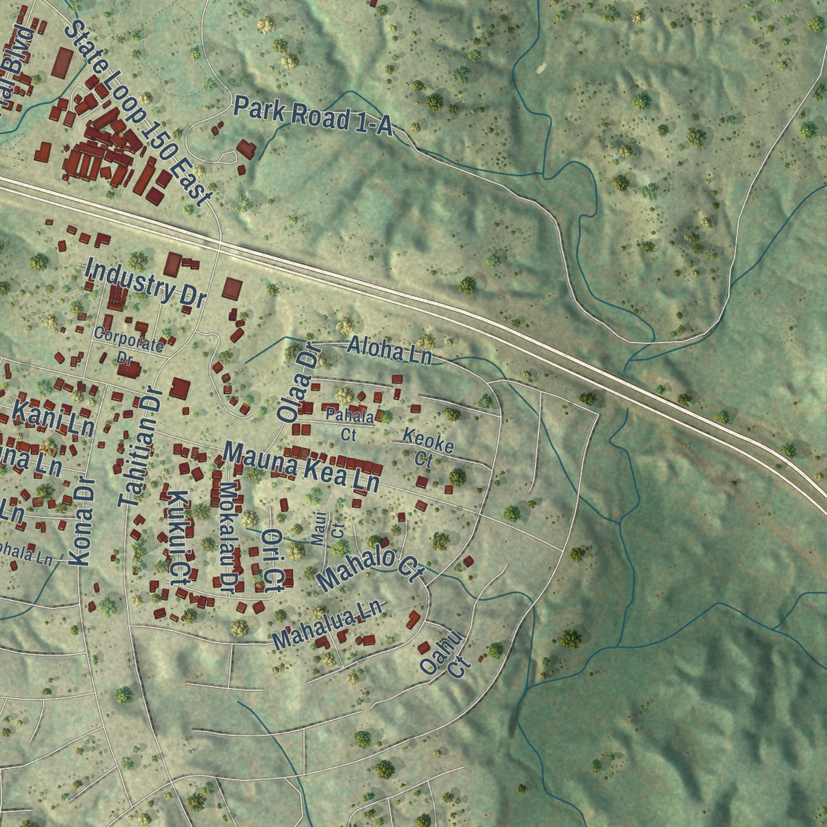Second close-up of the map of Bastrop, Texas print showing more streets and buildings
