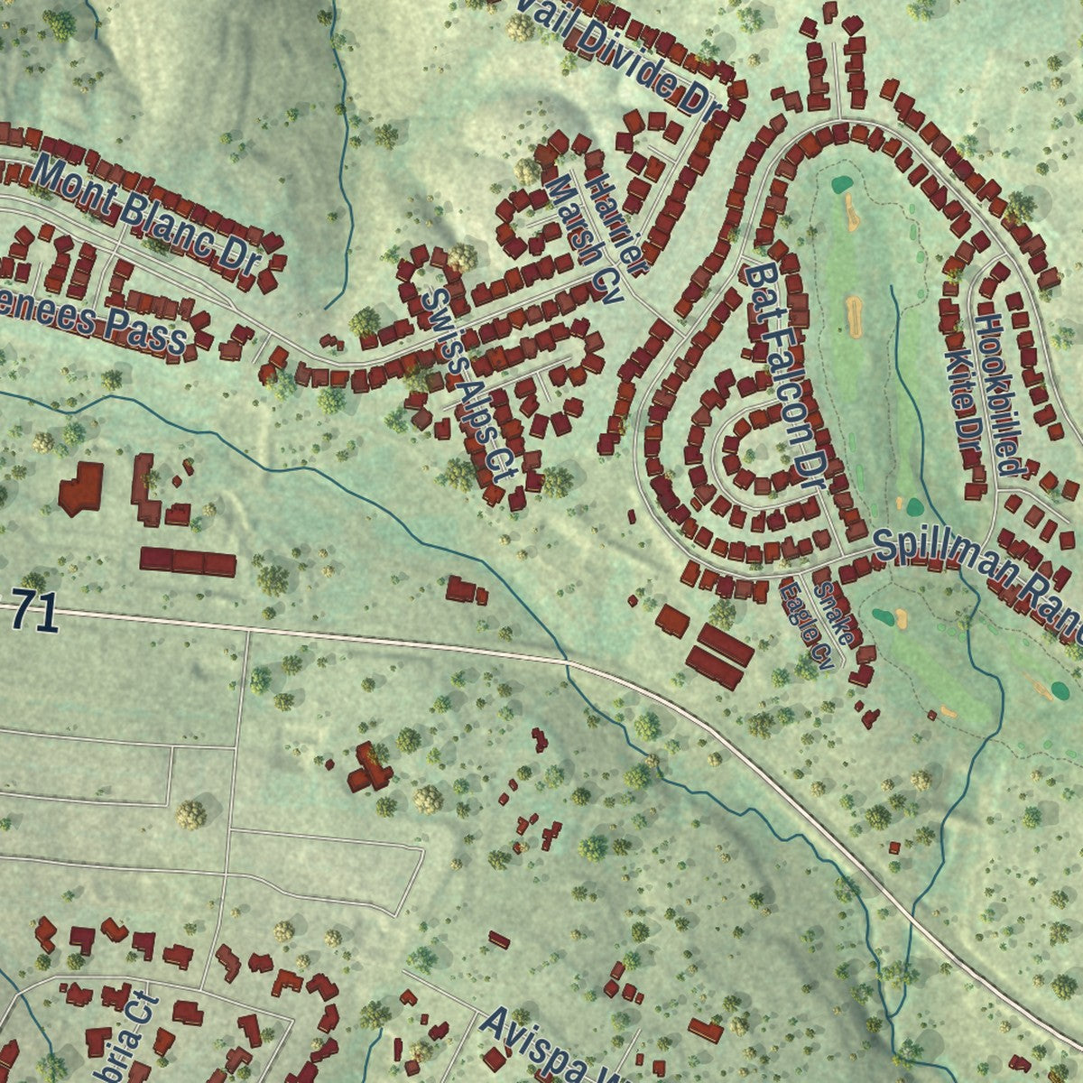 Close-up of the map of Bee Cave, Texas print showing street and building detail
