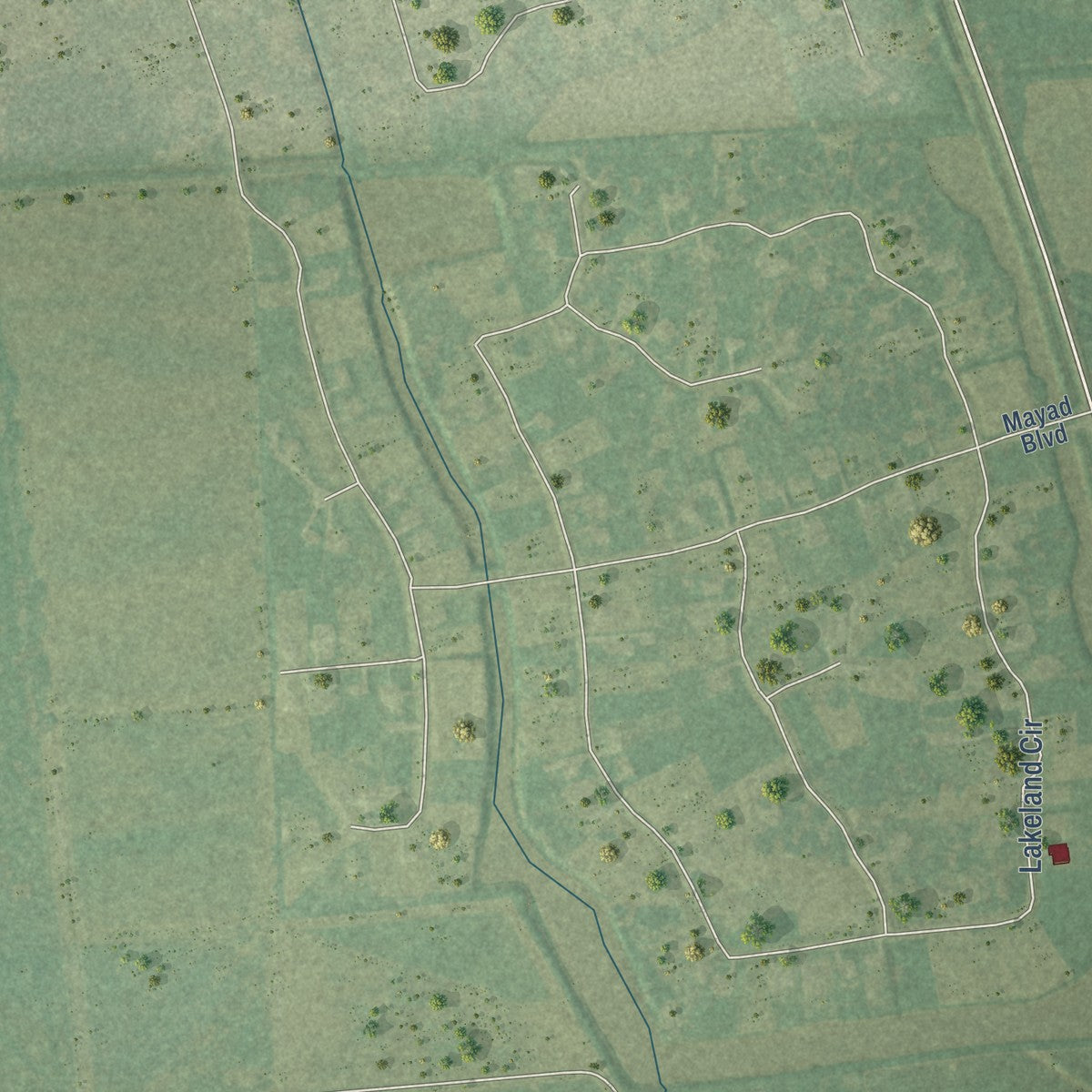 Close-up of the map of Bonney, Texas print showing street and building detail