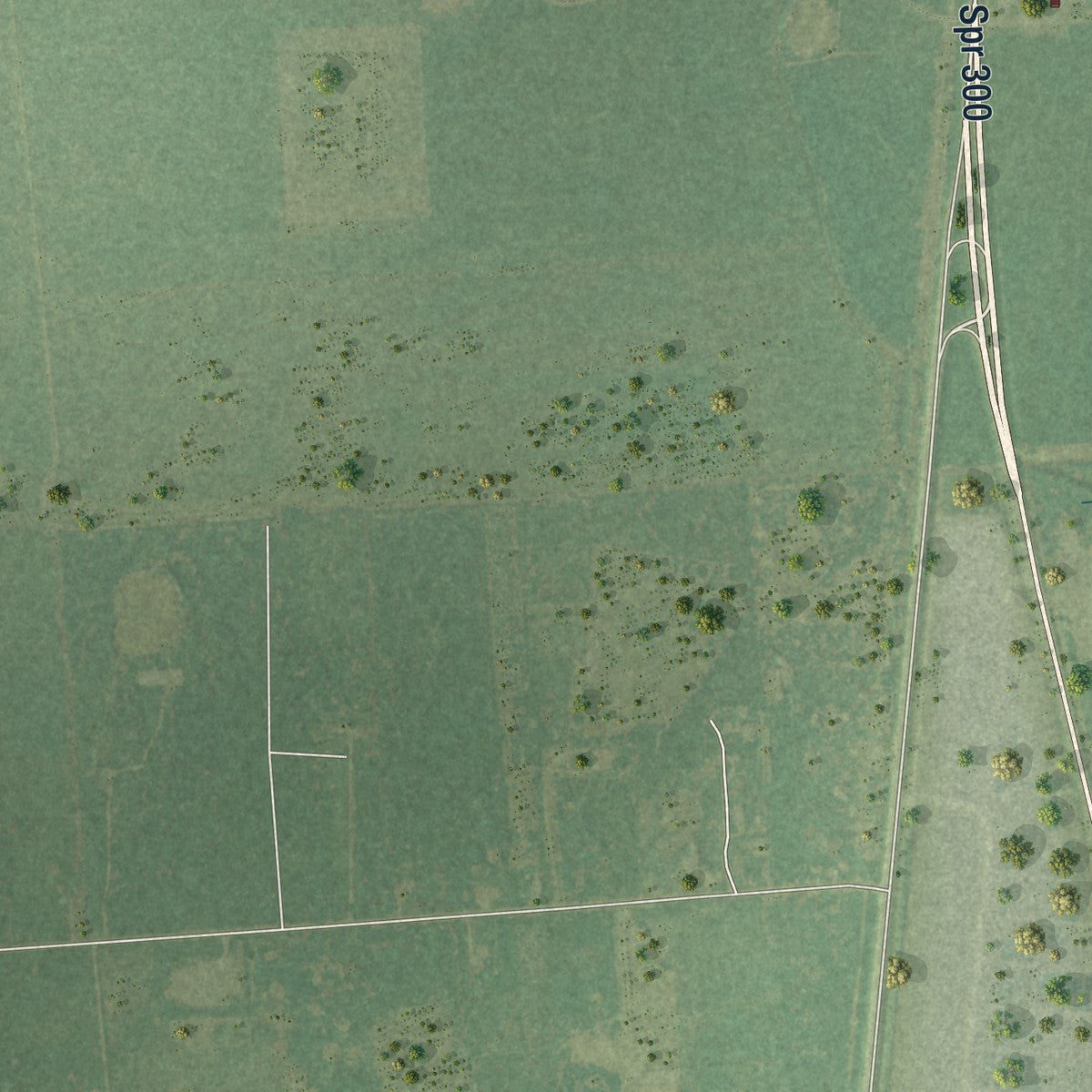 Second close-up of the map of Bonney, Texas print showing more streets and buildings