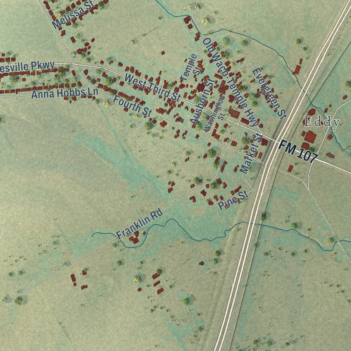 Close-up of the map of Bruceville-Eddy, Texas print showing street and building detail
