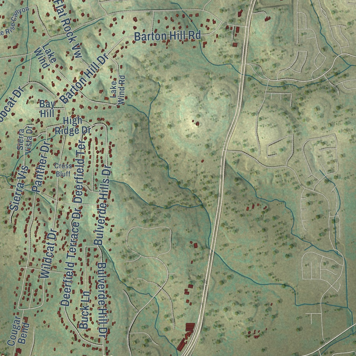 Close-up of the map of Bulverde, Texas print showing street and building detail