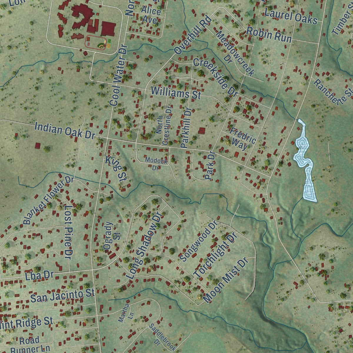 Close-up of the map of Camp Swift, Texas print showing street and building detail