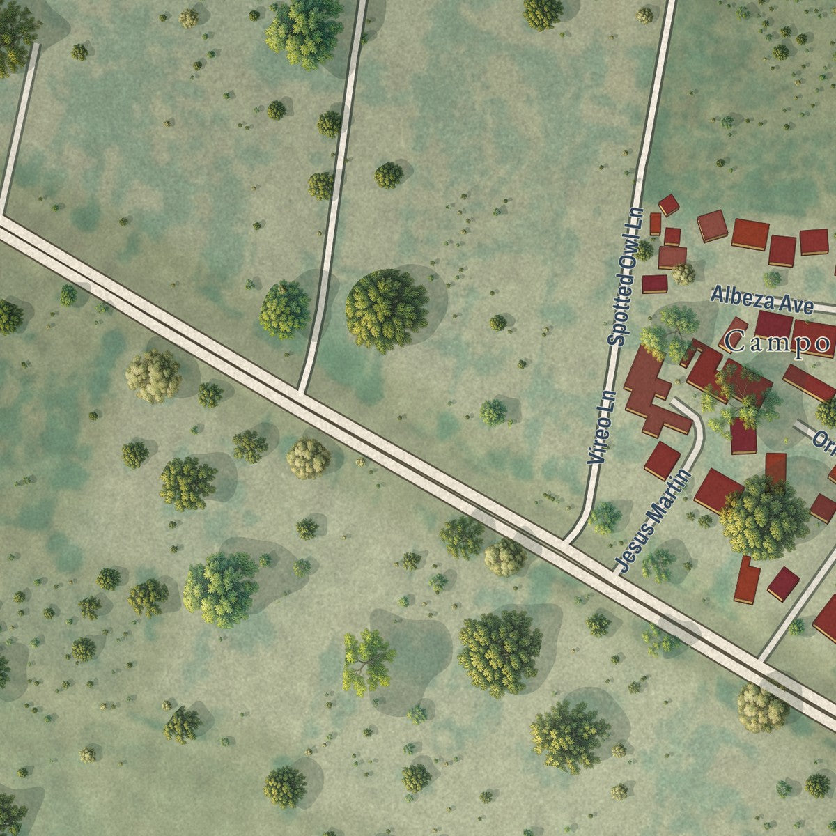 Close-up of the map of Campo Verde, Texas print showing street and building detail