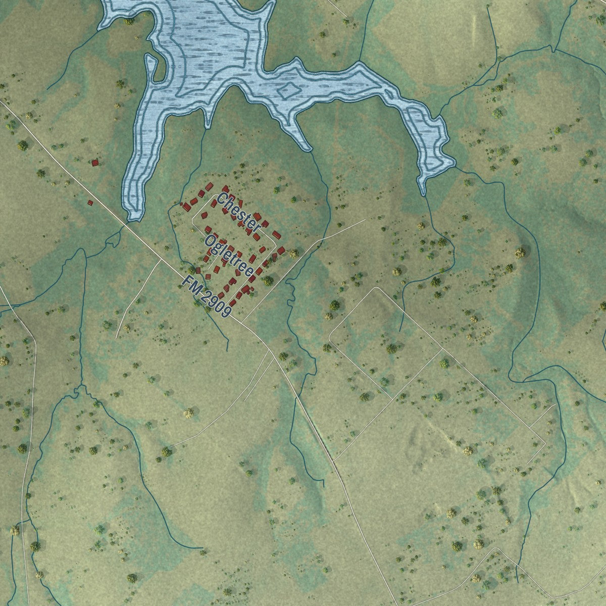 Second close-up of the map of Canton, Texas print showing more streets and buildings