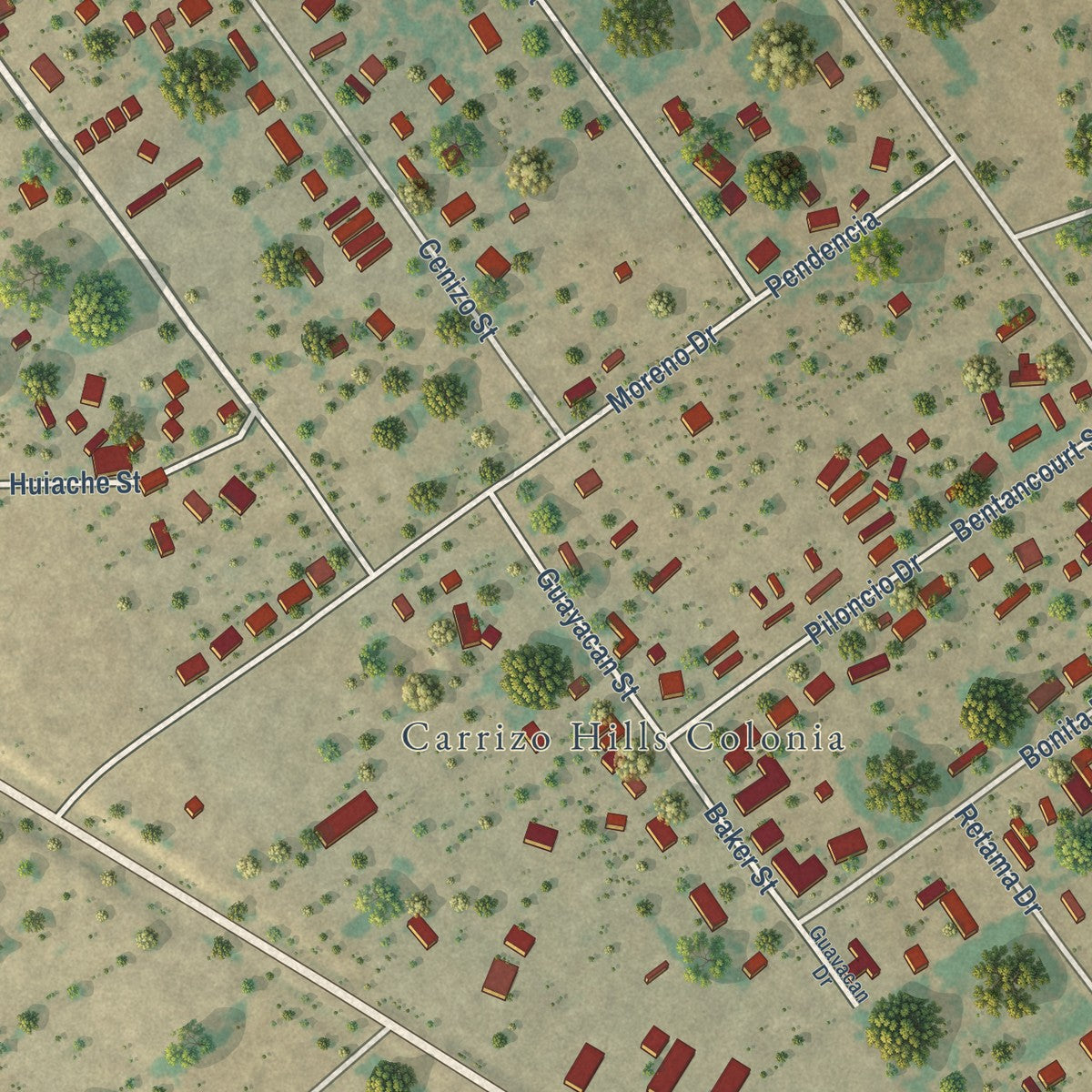 Close-up of the map of Carrizo Hill, Texas print showing street and building detail