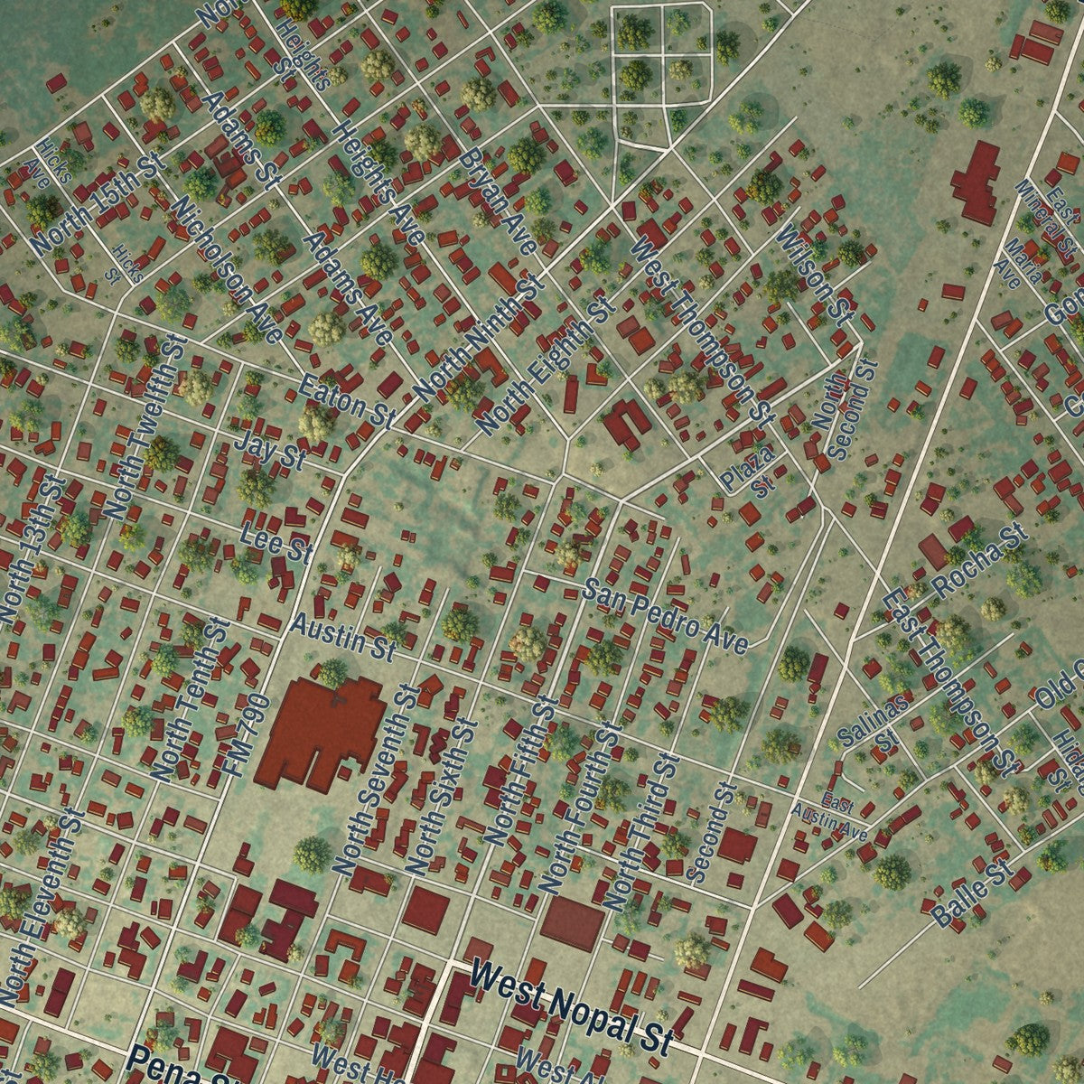 Close-up of the map of Carrizo Springs, Texas print showing street and building detail