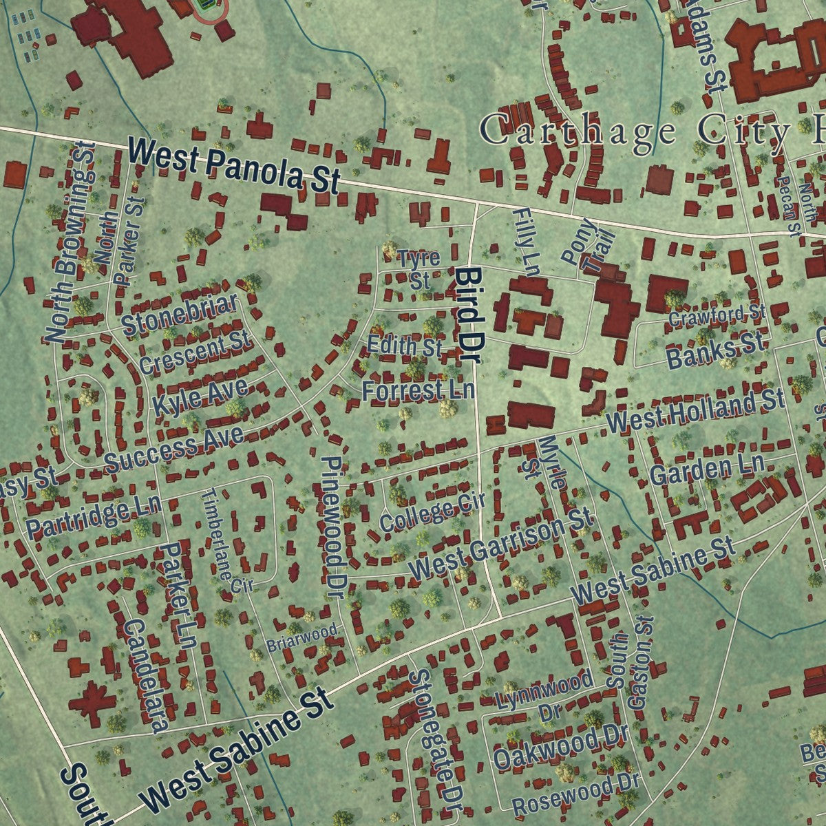 Close-up of the map of Carthage, Texas print showing street and building detail